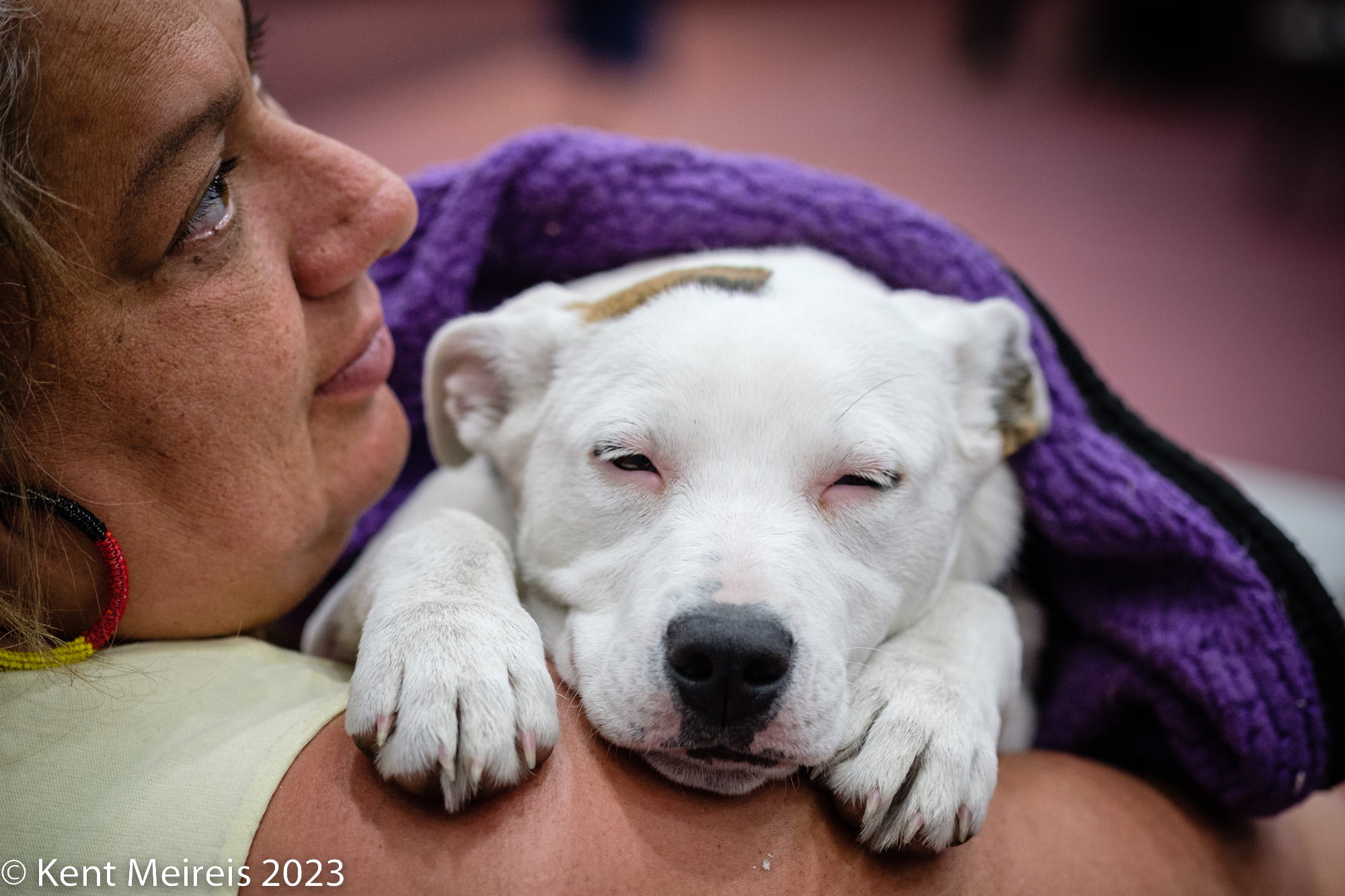 Arlee Spay and Neuter Clinic